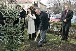 В парламента бе дадено началото на Националната кампания &quot;Да засадим дърво&quot;. Георги Пирински, председатели на парламентарни групи и много депутати се включиха в инициативата